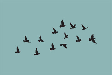 Flying Birds Silhouette on Sky Background.