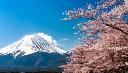 満開に咲く桜と花びら　入園入学新生活　お花見タイトルバナー　コピースペース