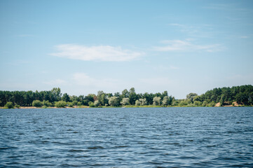 summer landscape of forest lake