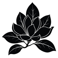Magnolia silhouette icon isolated on white
