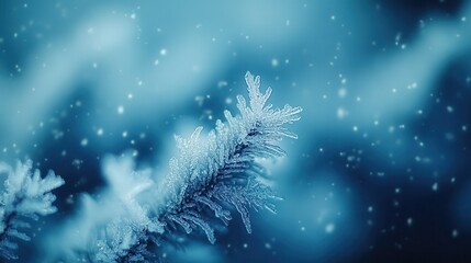 Frosty pine branch, winter snow, blurred background, holiday card