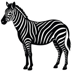 Zebra silhouette icon isolated on white
