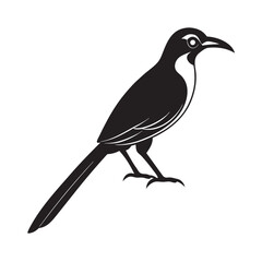 Motmot bird silhouette illustration- exotic avian vector