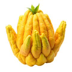 Buddha? Hand fruit isolated on transparent background 
