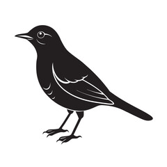 Rufous hornero silhouette- bird vector illustration for wildlife design