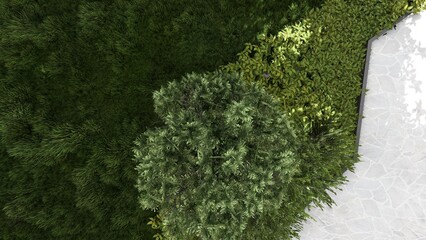 3d image of the landscape design of the home territory. Landscaping of the territory. Computer visualization of composite landscaping and landscaping solutions.