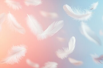Soft White Feathers Floating Gracefully Against a Stylish Pink and Blue Background