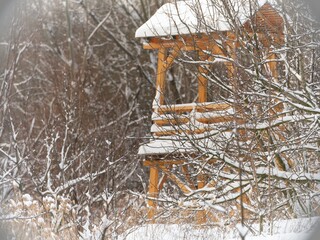 A wooden observation tower stands amidst snow-covered trees and shrubs in Delta Vacaresti, offering visitors a serene vantage point for birdwatching and appreciating nature's beauty in winter
