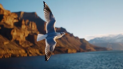 Naklejka premium Seagull Flying Over Serene Mountain Lake at Sunset Time