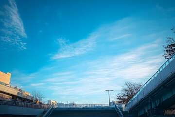 Fototapeta premium The sky is blue and clear with no clouds