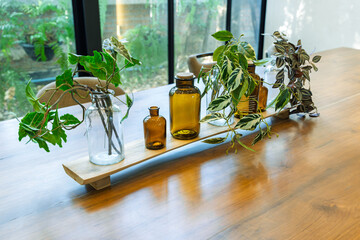 Small plants in glass jars in various styles, decorating the dining table
