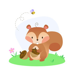 cute squirrel