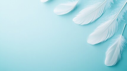 Naklejka premium elegant arrangement of ethereal feathers drifting across serene monochromatic background with abundant copy space