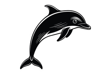  Beautiful dolphins Vector illustration Design