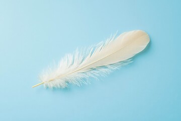 Obraz premium Delicate feather on soft blue background, blank space.