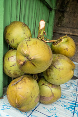 A close-up display of a bunch of coconuts still attached to their stem, showcased at a traditional market stall