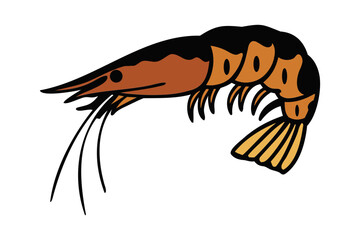 Colorful Shrimp Illustration for Seafood and Marine Designs.