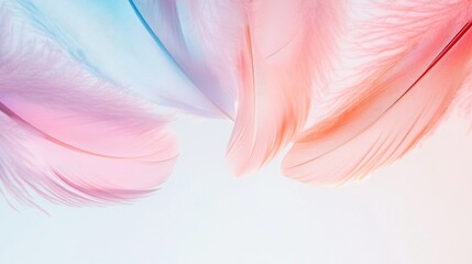Naklejka premium vivid abstract feathers gently tumbling through airy white background each feather burst of rainbow color delicately