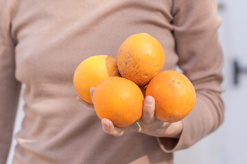 A young woman in a cozy brown sweater holds four vibrant oranges in her hands. The soft lighting and warm tones create a comforting, autumn-inspired atmosphere.