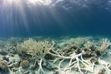 Underwater landscape with bleached coral reefs, as sunlight filters through clear waters, revealing the devastation of coral bleaching impacting the fragile marine ecosystem.