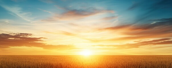 sunset over the field