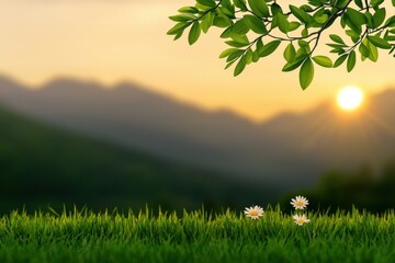 morning in the forest