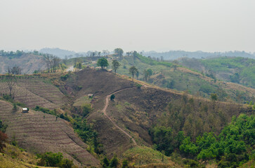 deforestation problems drought area