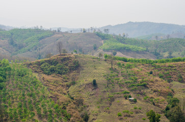 deforestation problems drought area