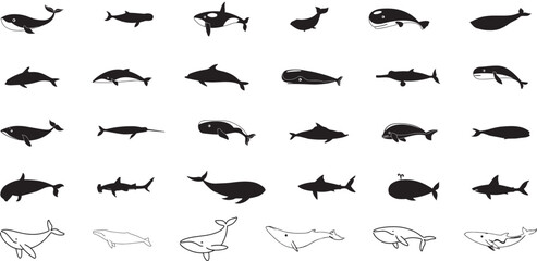 Whale icon vector set. Sperm whale illustration sign collection. Fish symbol. Ocean logo.