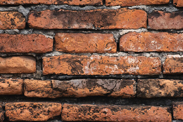Textured red brick wall background.