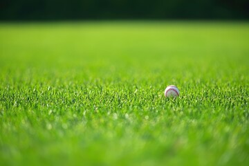 Softball Resting on Lush Outfield Grass in an Empty Sports Arena