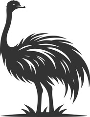 Ostrich with head raised, appearing alert animal silhouette vector