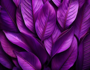 Fototapeta premium closeup view of abstract purple leaves texture background purple leaves texture abstract nature closeup background