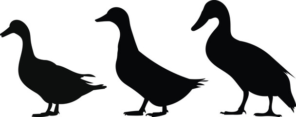Duck silhouettes on white background, vector illustration
