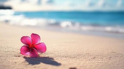 Embrace the Aloha Spirit: Welcome to Hawaii's Stunning Beaches and Oceanfront Bliss