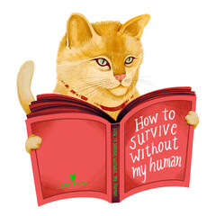 How to survive without my human - Cat manual