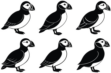Obraz premium Puffin Bird Silhouette set, Silhouette Puffin vector illustration