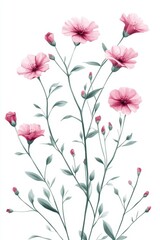 Elegant floral display with pastel pink blooms and delicate green foliage on a pristine white backdrop