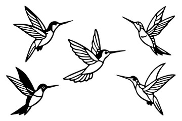 Elegant Hummingbird Vector Set