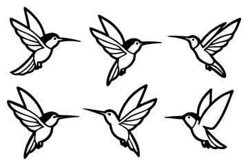 Elegant Hummingbird Vector Set
