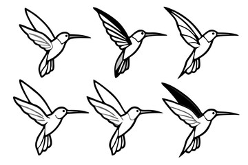 Elegant Hummingbird Vector Set