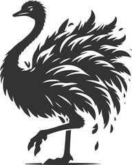 Obraz premium Ostrich shaking its feathers animal silhouette vector