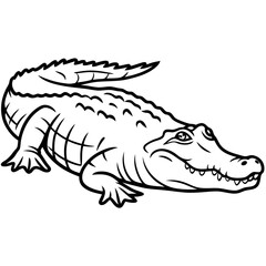 Crocodile 