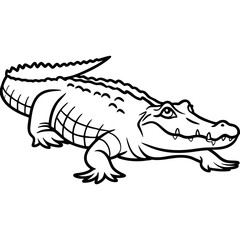 Crocodile 