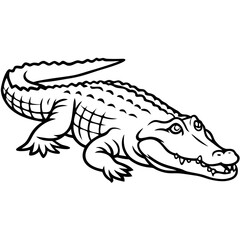 Crocodile 