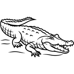 Crocodile 