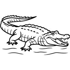 Crocodile 