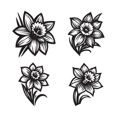 Obraz premium Daffodil flower Black and White Floral Vector Design with Flowers and Leaves
