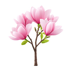 Fototapeta premium Pink magnolia flowers on a tree, white isolated background.