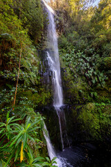 Obraz premium Waterfall along the way of the Levada do Caldeirao Verde hike on Madeira, Portugal.